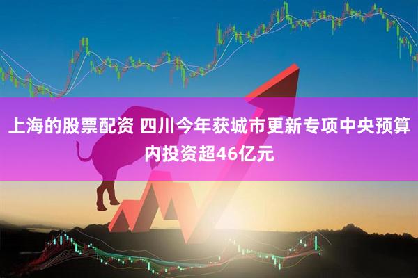 上海的股票配资 四川今年获城市更新专项中央预算内投资超46亿元